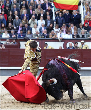 Toro